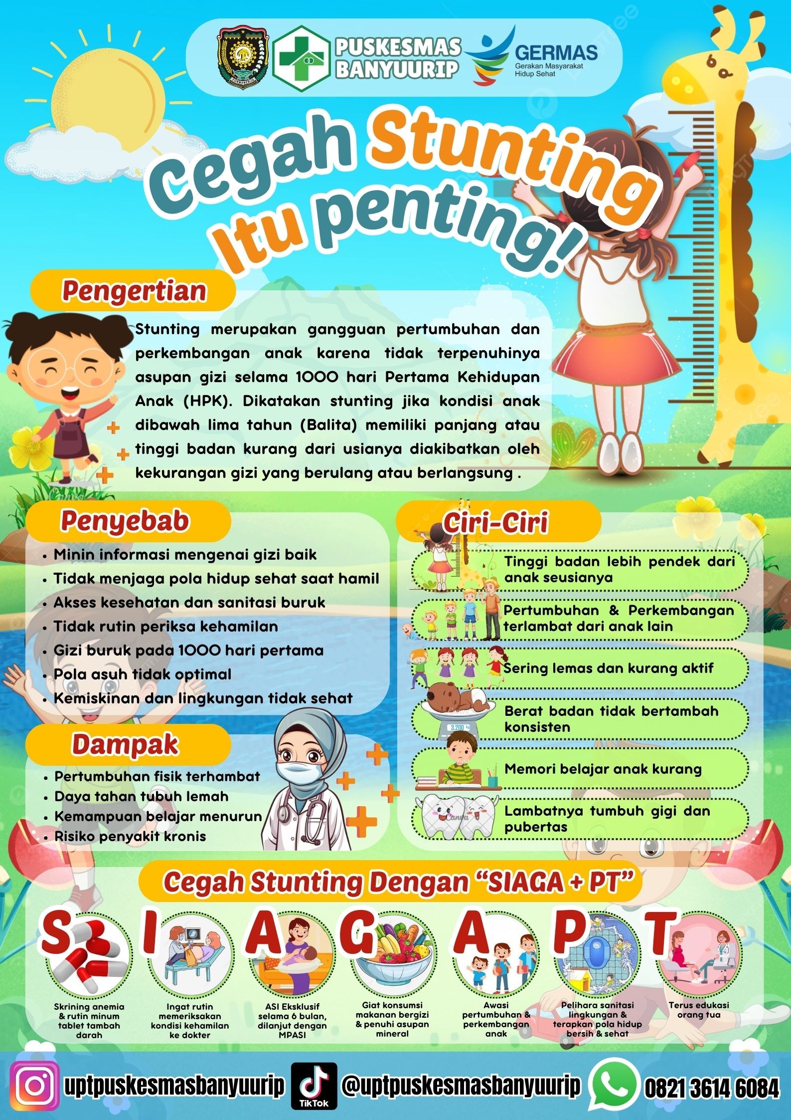 91.jpg